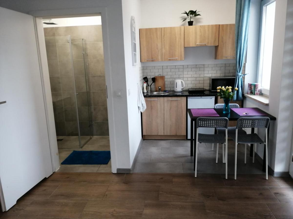 Pokoje - Studio Gliwice I Przy Onkologii Exteriér fotografie